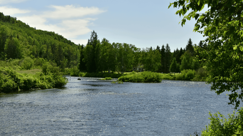 Quais são as particularidades da província de Quebec?