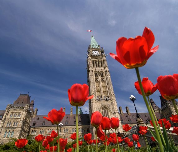 Immigrate to Canada - Free Assessment